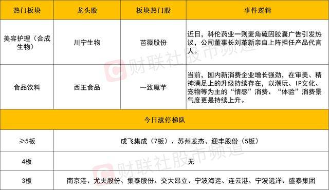 ex外汇官方网站《四海兄弟：故乡》女性角色截图 大家心动了吗？