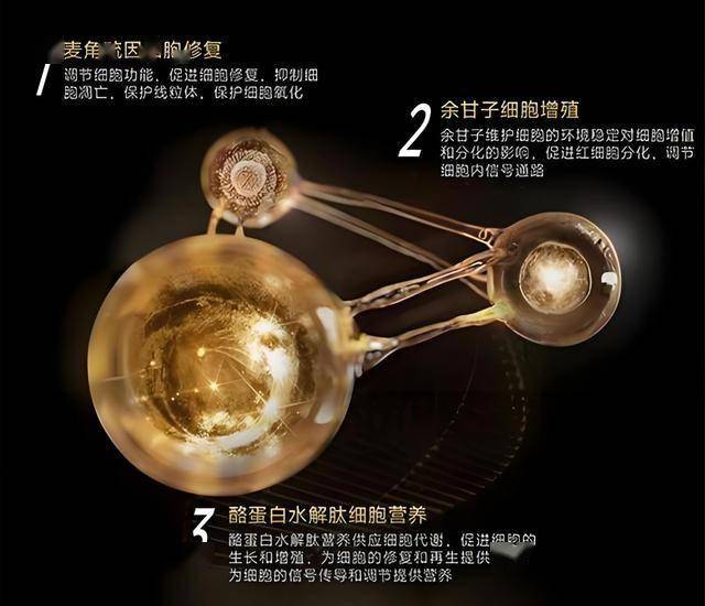 EX外汇平台交易环境英特尔推出AI高静游戏本 重塑领域体验新标杆